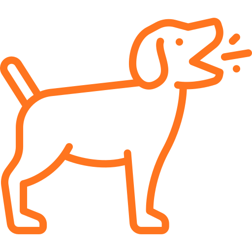 Ensinar o filhote a não latir e chorar já nos primeiros dias​​ - Thali Adestra - Adestradora de cães e filhotes